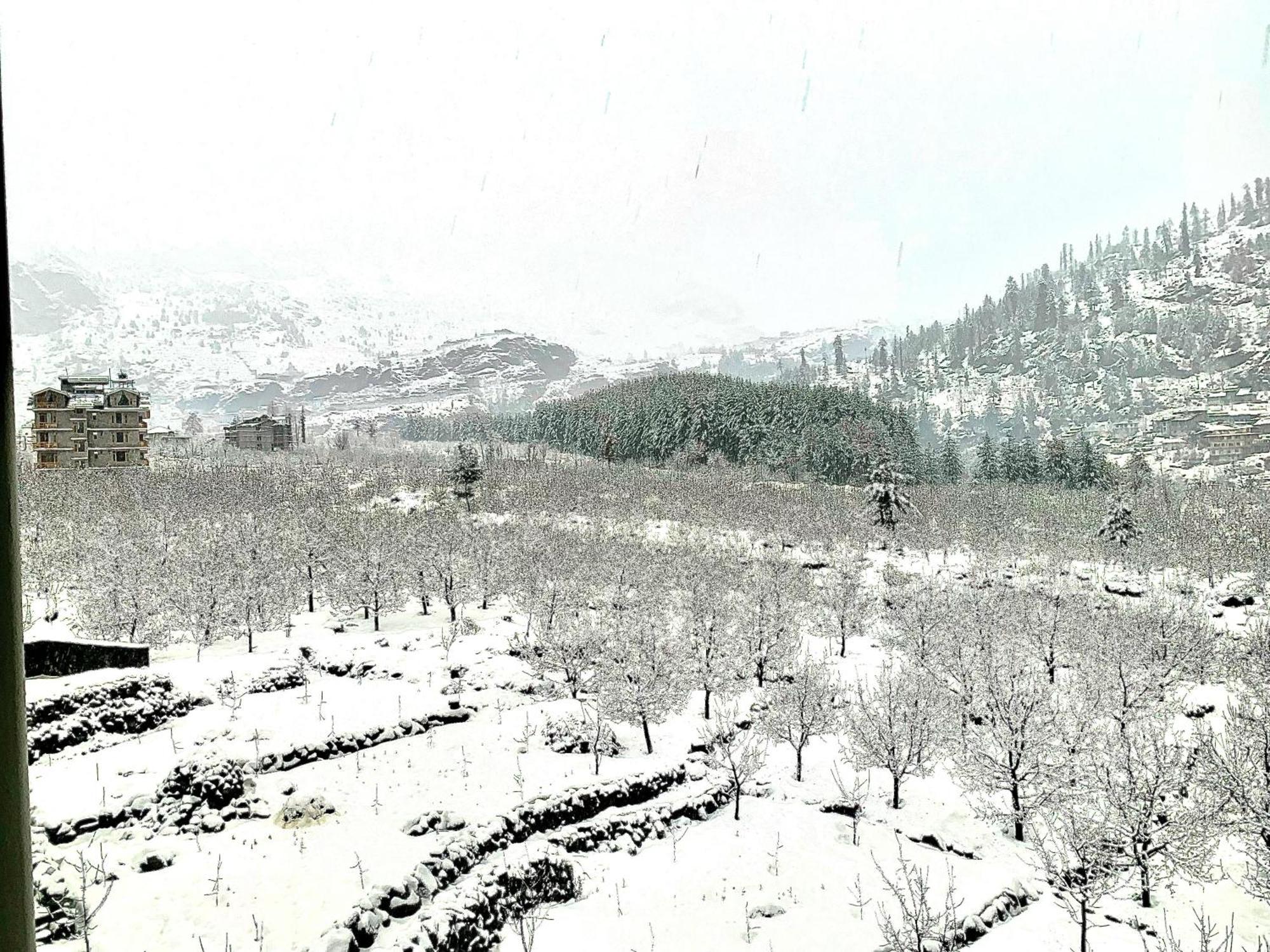 La Aero Resort Home In Snow Mountains Manāli Exteriör bild